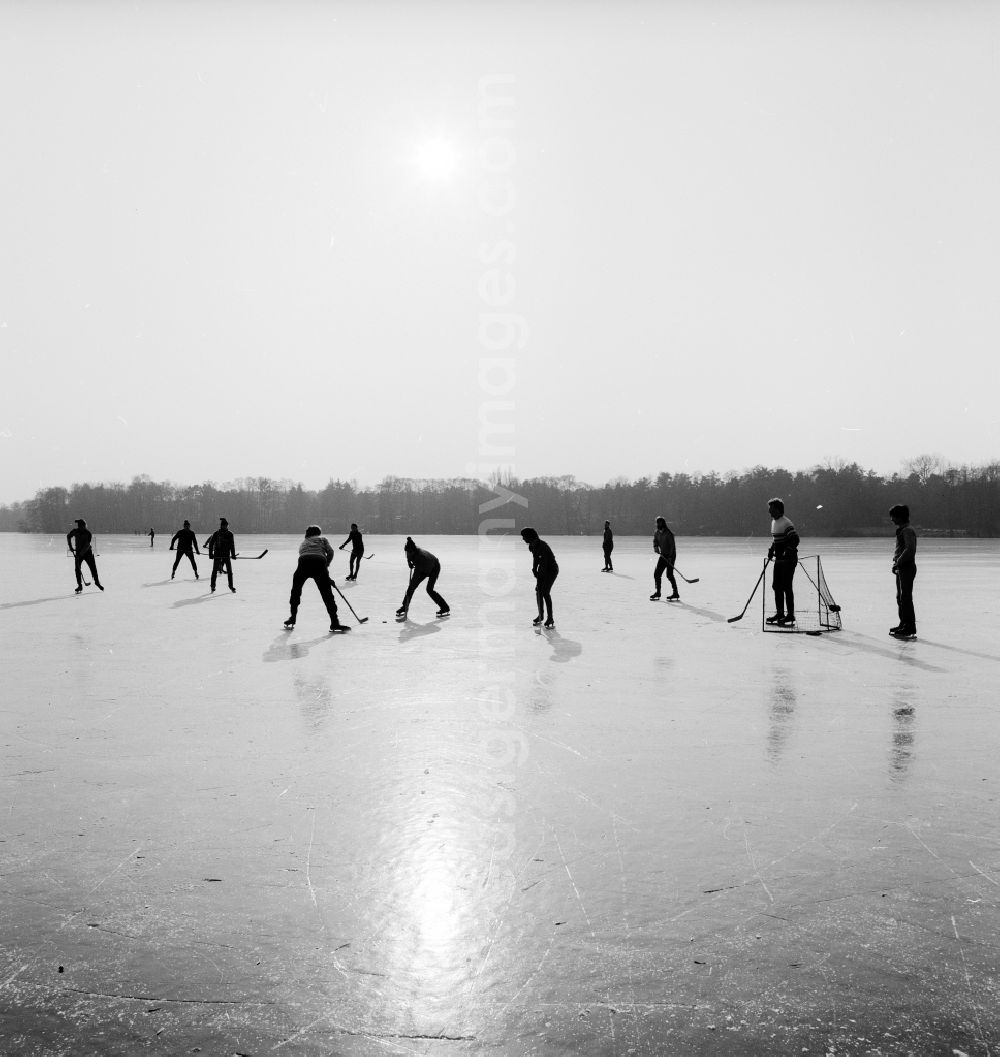 GDR image archive: Zossen - Youngsters play ice hockey on the frozen Motzener See in Zossen in the federal state Brandenburg on the territory of the former GDR, German Democratic Republic