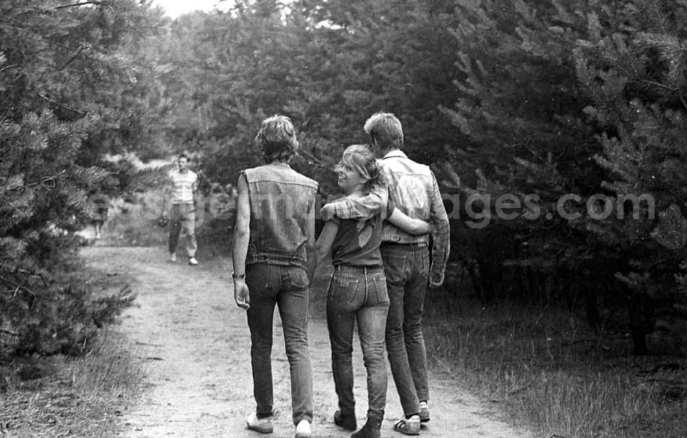 GDR photo archive: Borkheide - Young couple on a walk in a forest in Borkheide in the state Brandenburg on the territory of the former GDR, German Democratic Republic