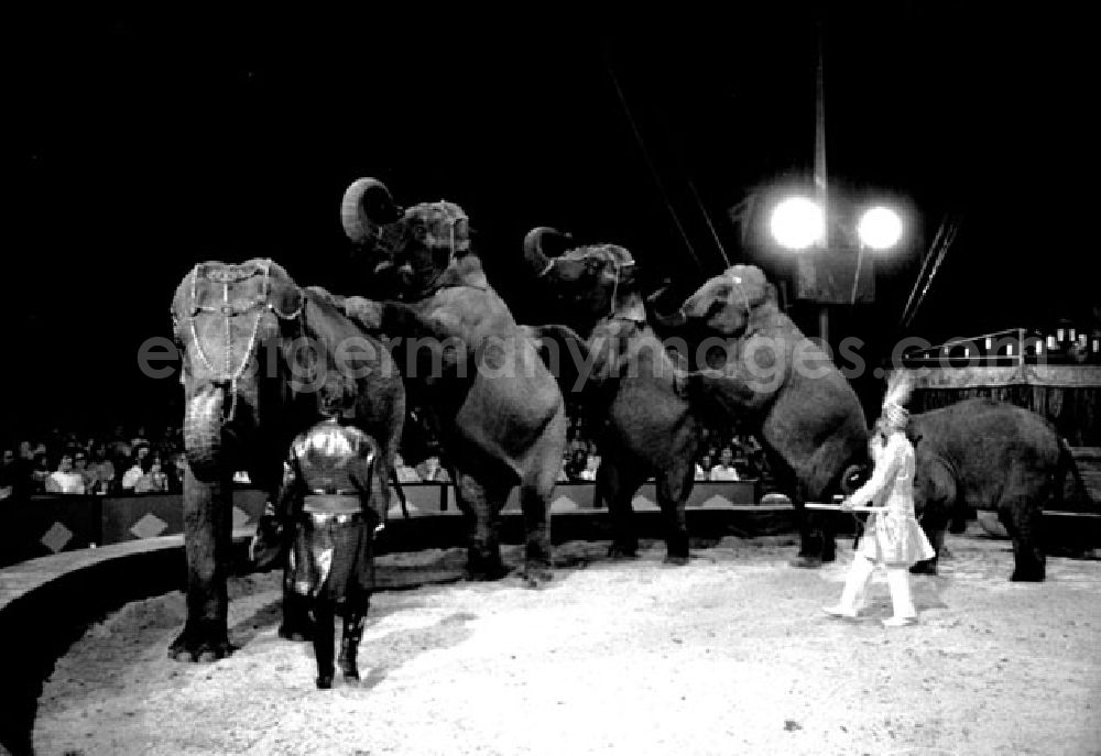 GDR image archive: Berlin - Juli 1973 Zirkus Aeros in Berlin.