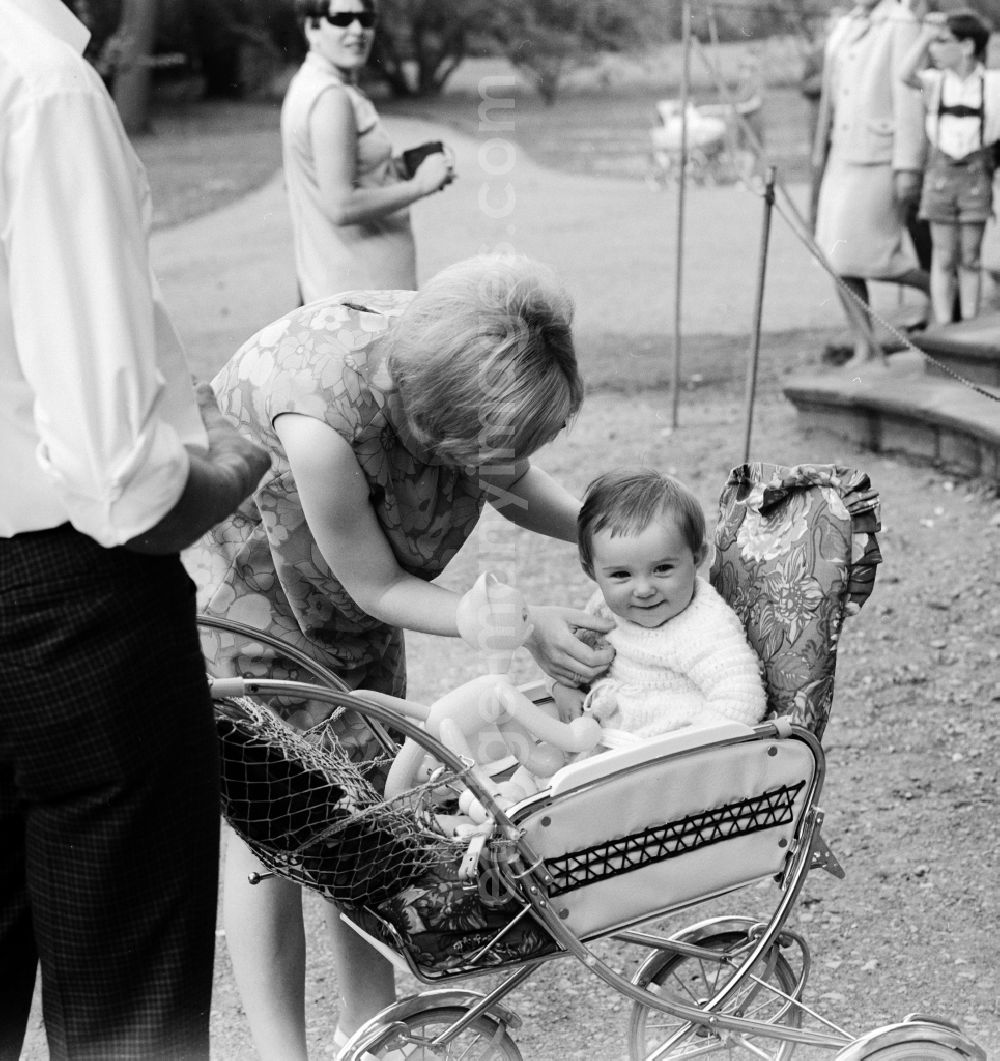 Potsdam: A young family with a toddler and a pram during a walk through the Sanssouci Park in Potsdam in the federal state of Brandenburg on the territory of the former GDR, German Democratic Republic