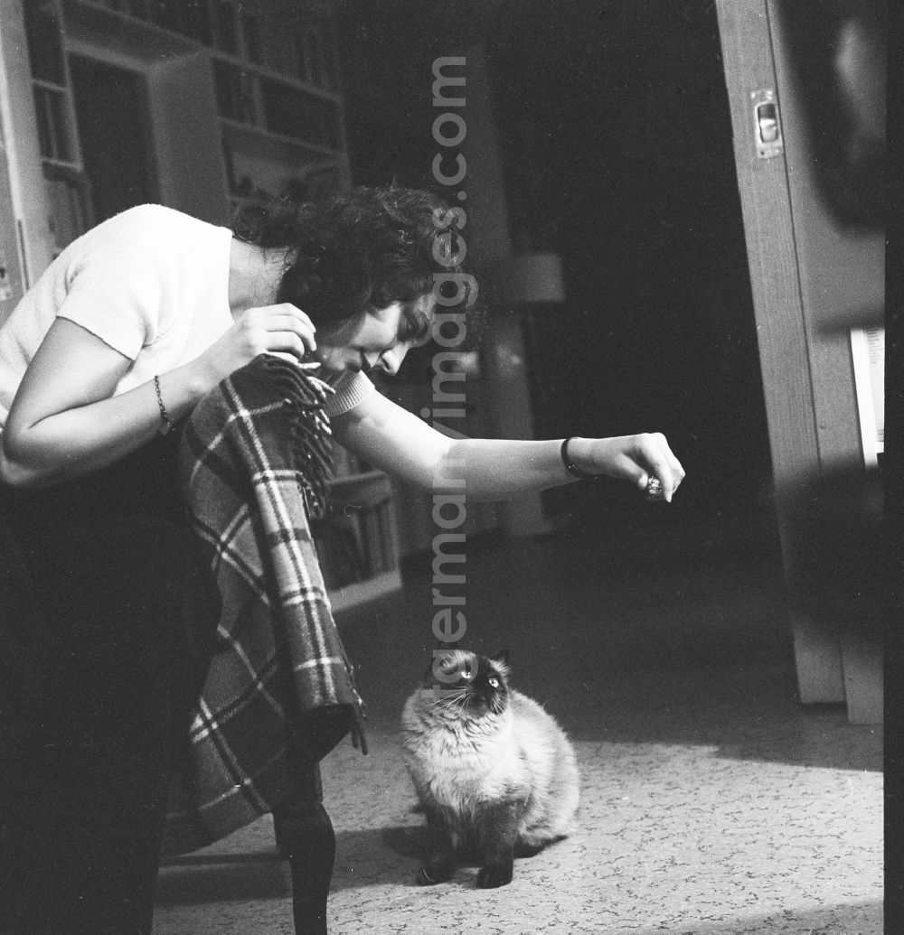 GDR picture archive: Berlin - Young woman playing with a cat in Berlin
