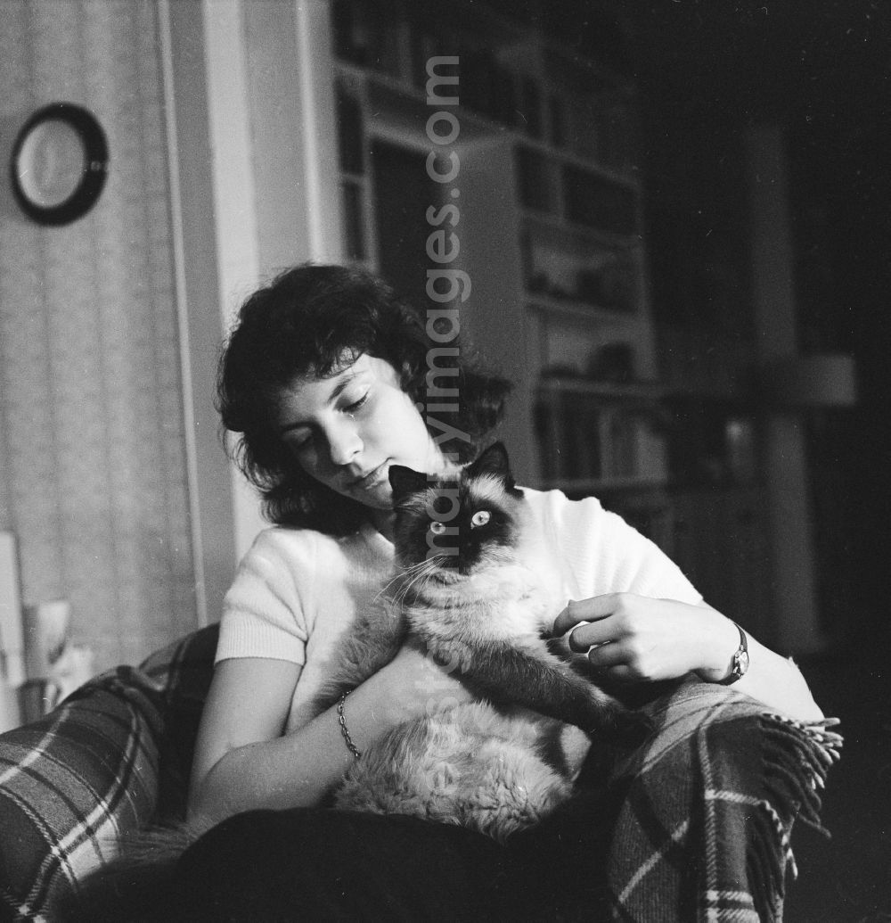 Berlin: Young woman playing with a cat in Berlin