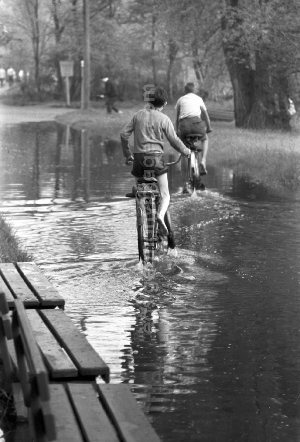 GDR photo archive: Dessau - 2 boys ride their bikes through a large puddle in the city park in Dessau in Saxony - Anhalt