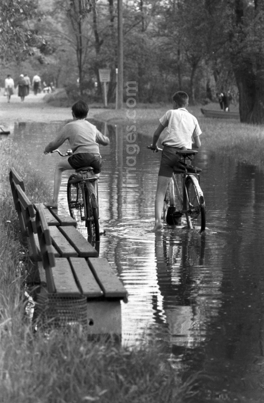 GDR picture archive: Dessau - 2 boys ride their bikes through a large puddle in the city park in Dessau in Saxony - Anhalt