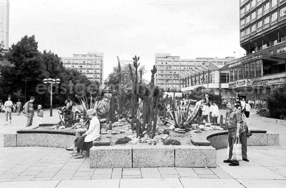 GDR photo archive: Berlin-Mitte - Kakteenhochbeet in den Rathauspassagen 28.