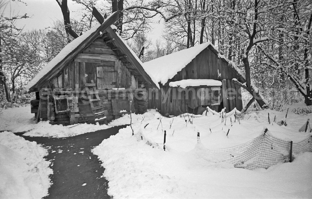 Lehde: Winter snow-covered canal course and bank areas of the main Spree in Lehde Spreewald, Brandenburg in the area of ??the former GDR, German Democratic Republic