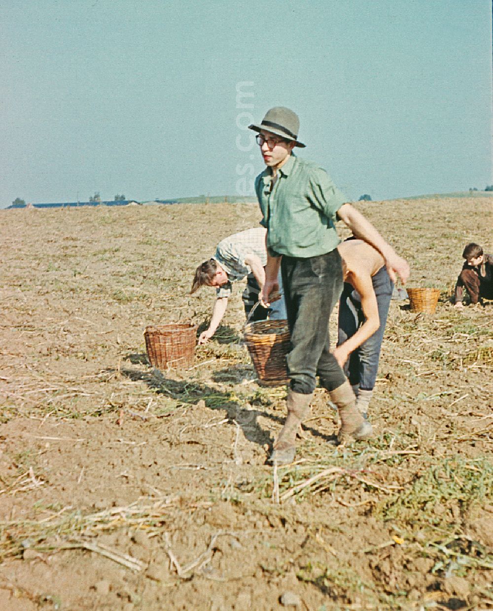 GDR picture archive: Wegendorf - Break during the potato harvest in a field by 9th grade students at a high school in Wegendorf, Brandenburg in the territory of the former GDR, German Democratic Republic