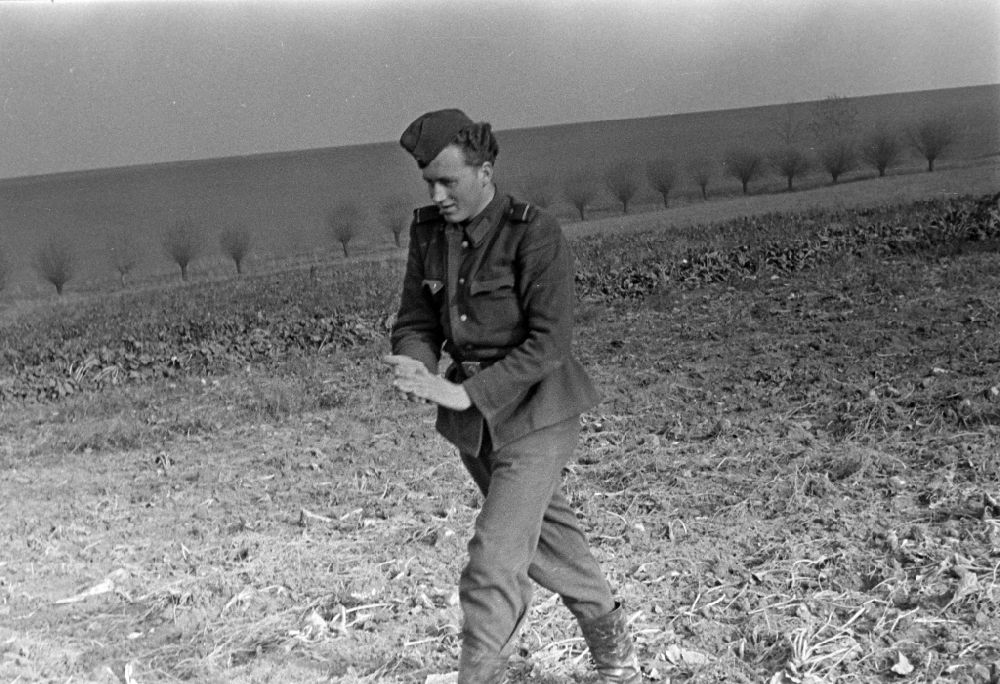 GDR picture archive: Wachau - Potato harvesting in a field with soldiers of the NVA National People's Army on Schulstrasse in Wachau, Saxony in the territory of the former GDR, German Democratic Republic