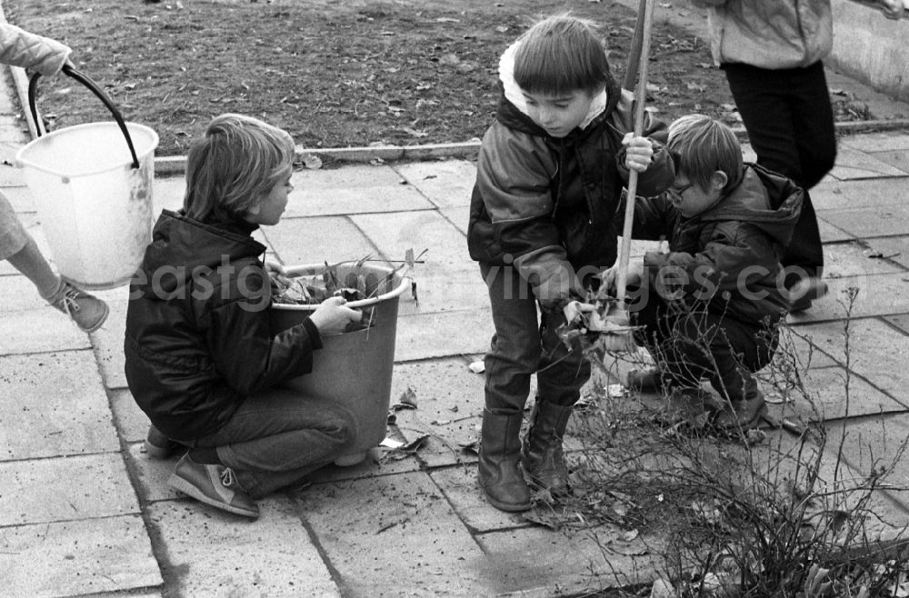 GDR photo archive: Berlin - Children in a kindergarten help with gardening in Berlin on the territory of the former GDR, German Democratic Republic. Children sweep up leaves and collect them in a bucket