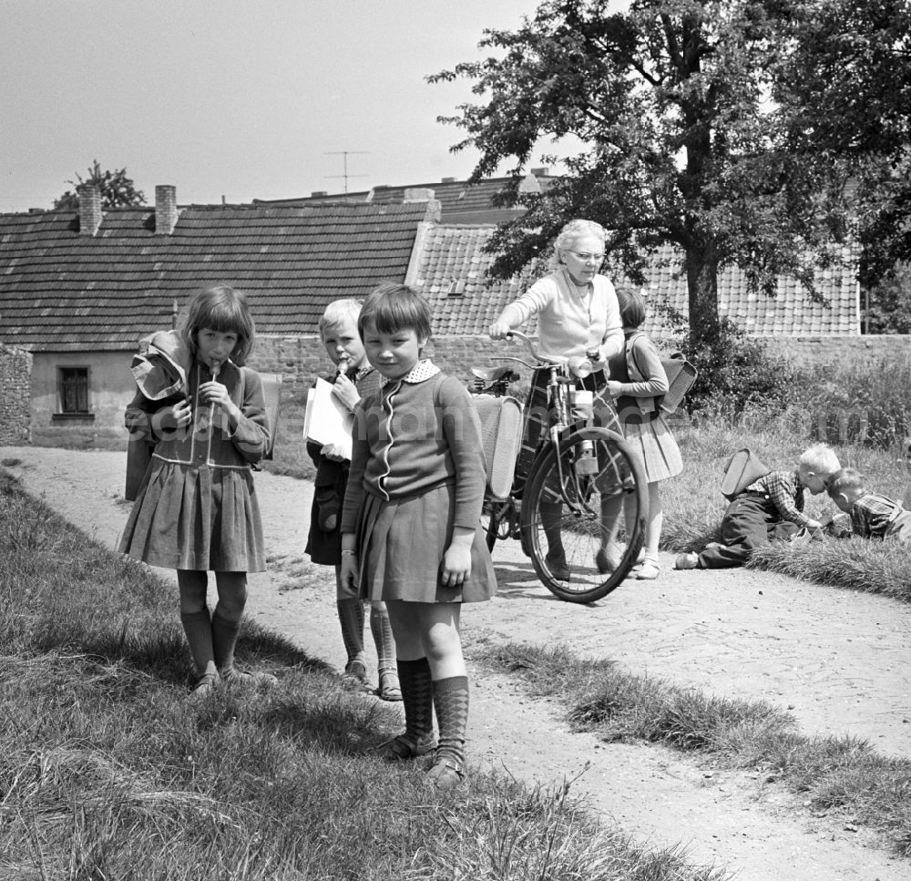 GDR photo archive: Berlin - Köpenick - Children to and from school back home in Berlin - Köpenick. Between them an elderly woman pushes her bicycle