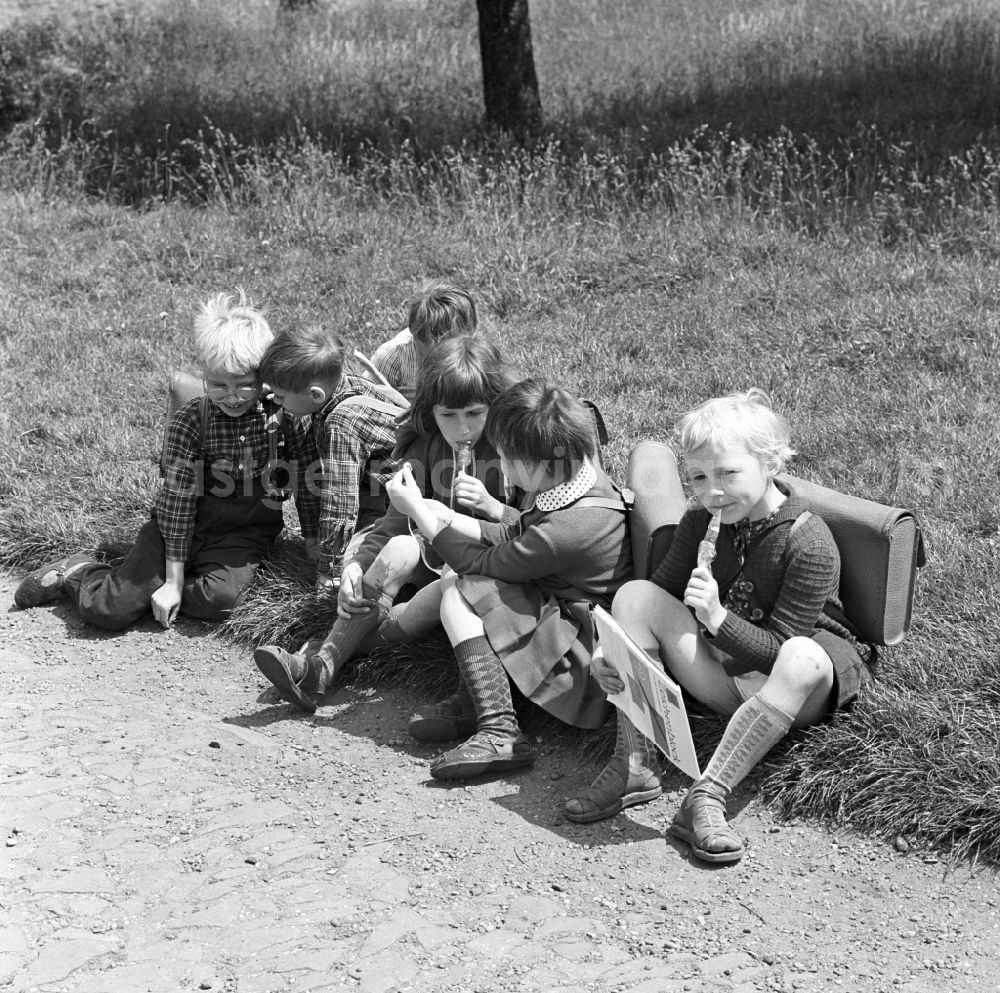 GDR picture archive: Berlin - Köpenick - A group of children to and from school back home in Berlin - Köpenick