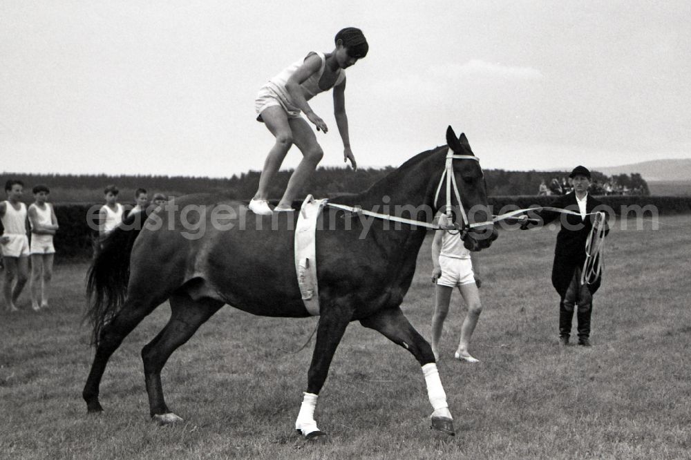 GDR picture archive: Gotha - Show program on the track: children's vaulting group Gotha in Gotha in the state Thuringia on the territory of the former GDR, German Democratic Republic