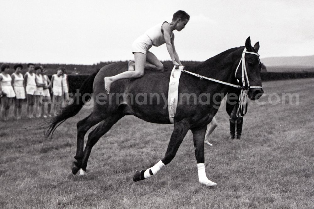 GDR image archive: Gotha - Show program on the track: children's vaulting group Gotha in Gotha in the state Thuringia on the territory of the former GDR, German Democratic Republic