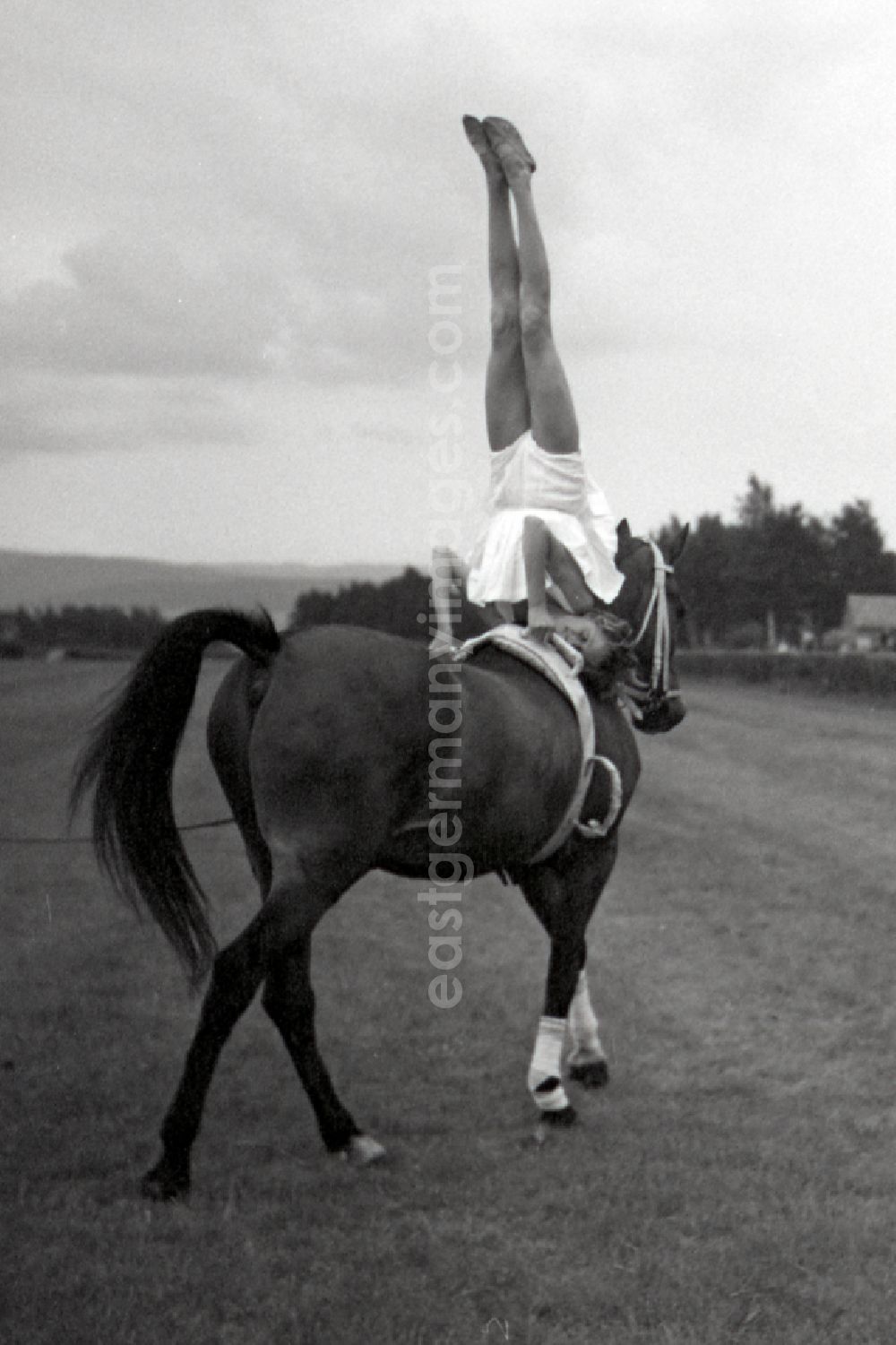 GDR photo archive: Gotha - Show program on the track: children's vaulting group Gotha in Gotha in the state Thuringia on the territory of the former GDR, German Democratic Republic