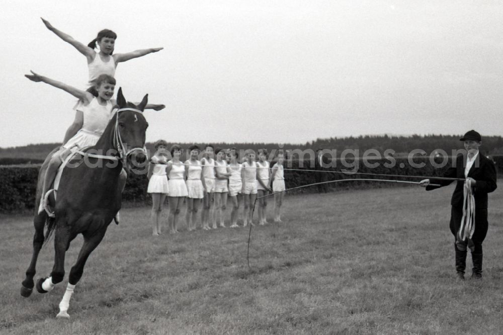 Gotha: Show program on the track: children's vaulting group Gotha in Gotha in the state Thuringia on the territory of the former GDR, German Democratic Republic