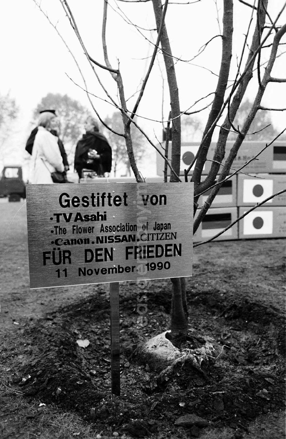 GDR image archive: Mitte / Berlin - Kirschbaumplanzung am Pariser Platz / Brandenburger Tor Berlin - Mitte 11.11.9