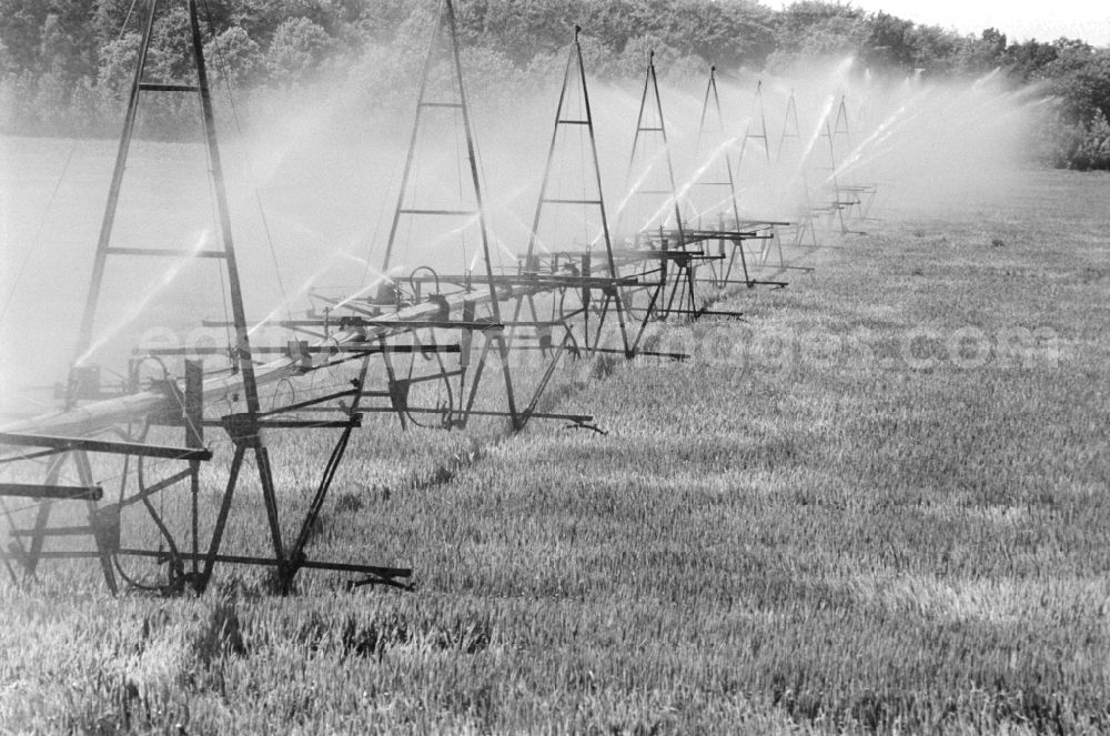 GDR image archive: Niederer Fläming - Clear water irrigation of LPG Hohenseefeld in district Jueterbog in Niederer Flaeming in Brandenburg in the area of the former GDR, German Democratic Republic