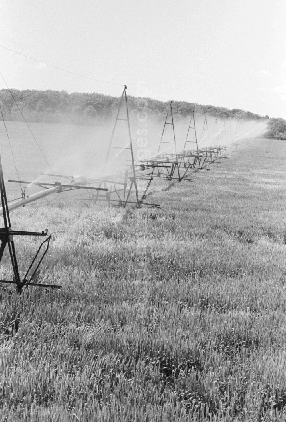 GDR photo archive: Niederer Fläming - Clear water irrigation of LPG Hohenseefeld in district Jueterbog in Niederer Flaeming in Brandenburg in the area of the former GDR, German Democratic Republic