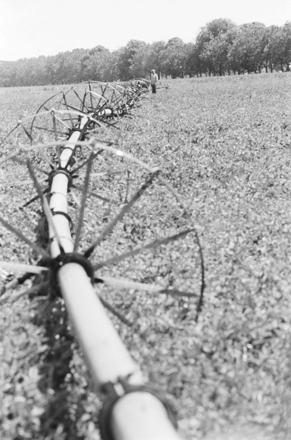 GDR photo archive: Niederer Fläming - Clear water irrigation of LPG Hohenseefeld in district Jueterbog in Niederer Flaeming in Brandenburg in the area of the former GDR, German Democratic Republic