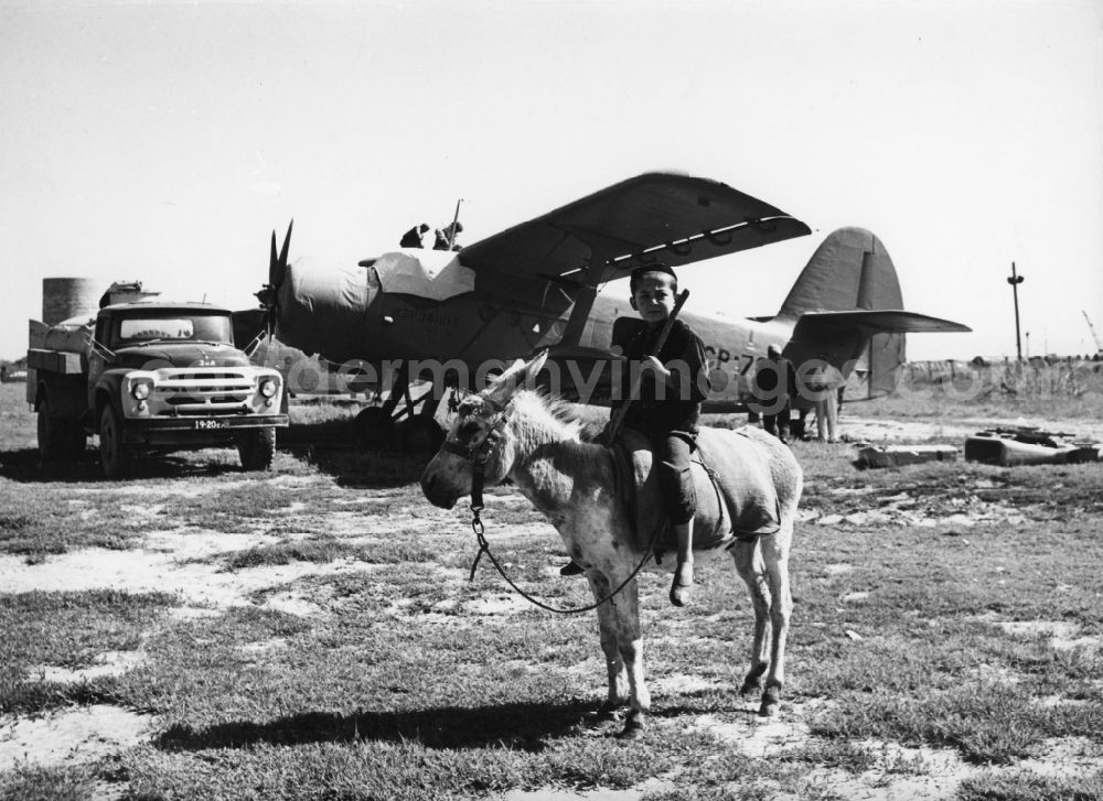 GDR picture archive: Taschkent - Little boy on a donkey in front of an aircraft of type AN-2 in Tashkent in Uzbekistan. Links a truck ZIL-13