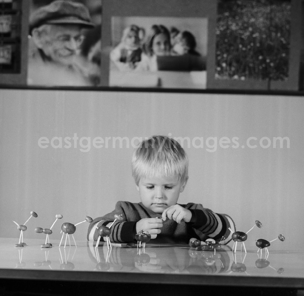 GDR image archive: Berlin - Small Child making chestnut fantasy figures in Berlin
