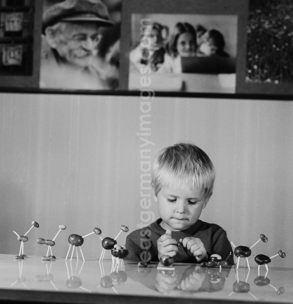 GDR photo archive: Berlin - Small Child making chestnut fantasy figures in Berlin