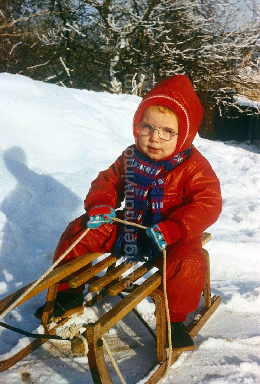 GDR picture archive: Neustrelitz - A small child with glasses in a red snowsuit on a sledge in the snow in Neustrelitz in the state of Mecklenburg-Western Pomerania in the territory of the former GDR, German Democratic Republic