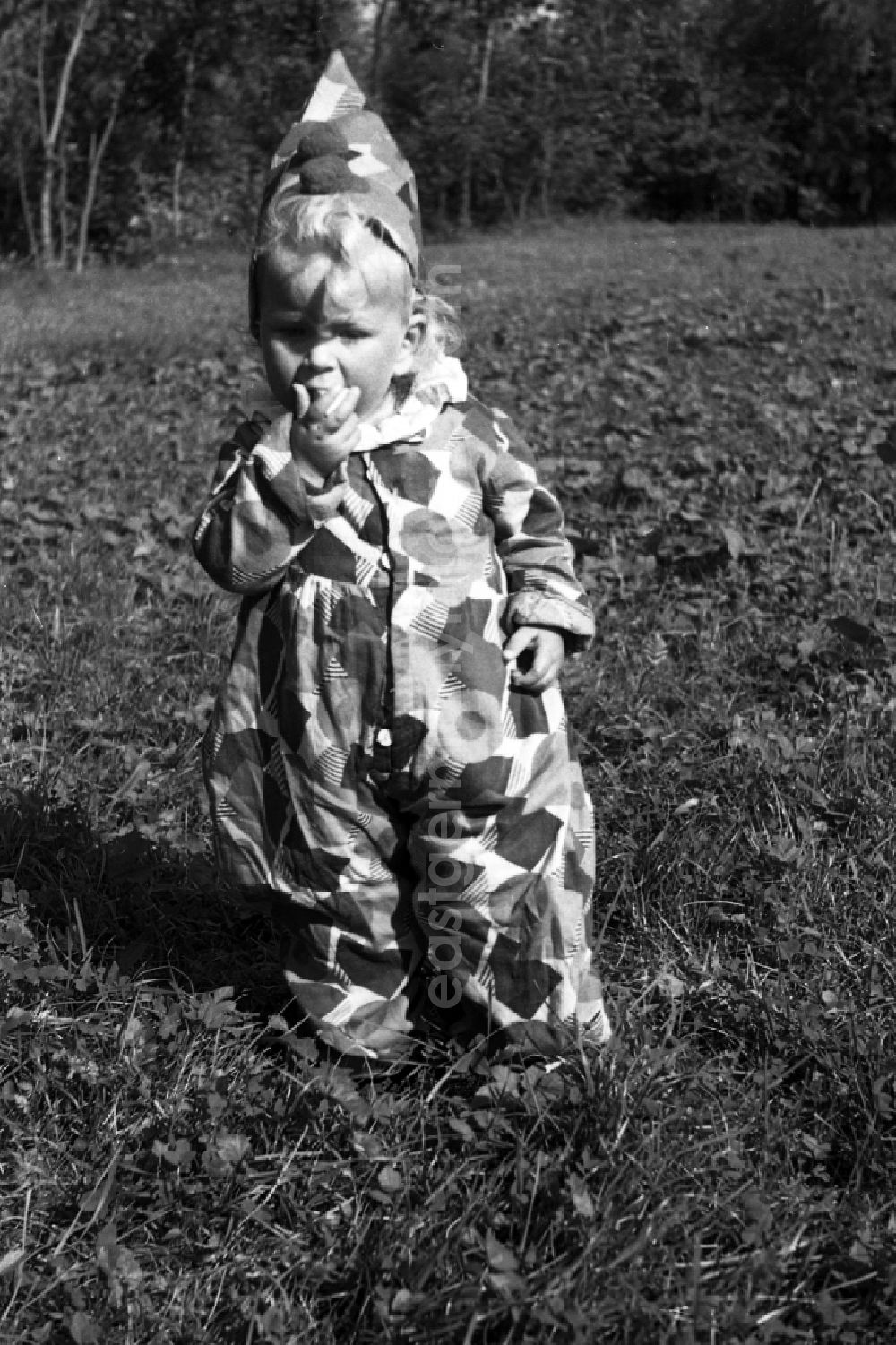 GDR image archive: Merseburg - A small child dresses up as a clown in Merseburg in the federal state Saxony-Anhalt in Germany