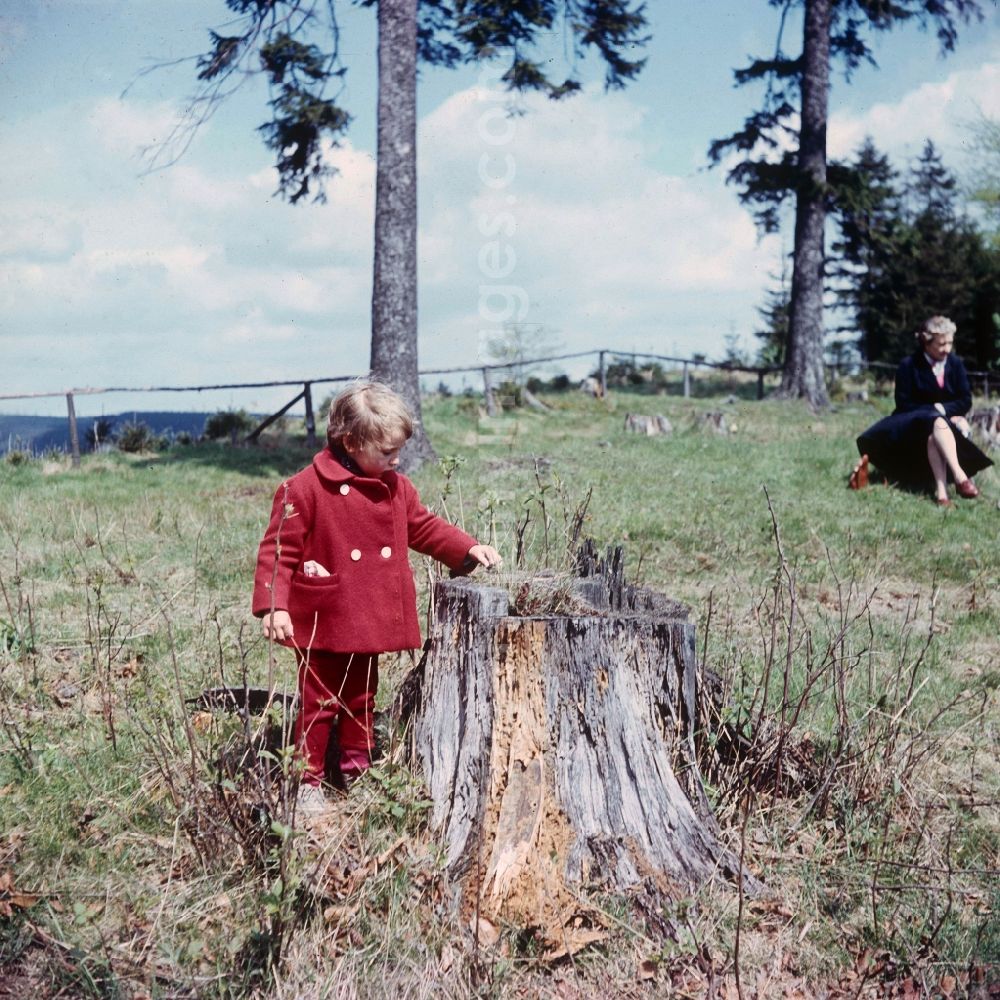 Friedrichroda: Small girl with red coat in Friedrichroda in the federal state Thuringia in the area of the former GDR, German democratic republic