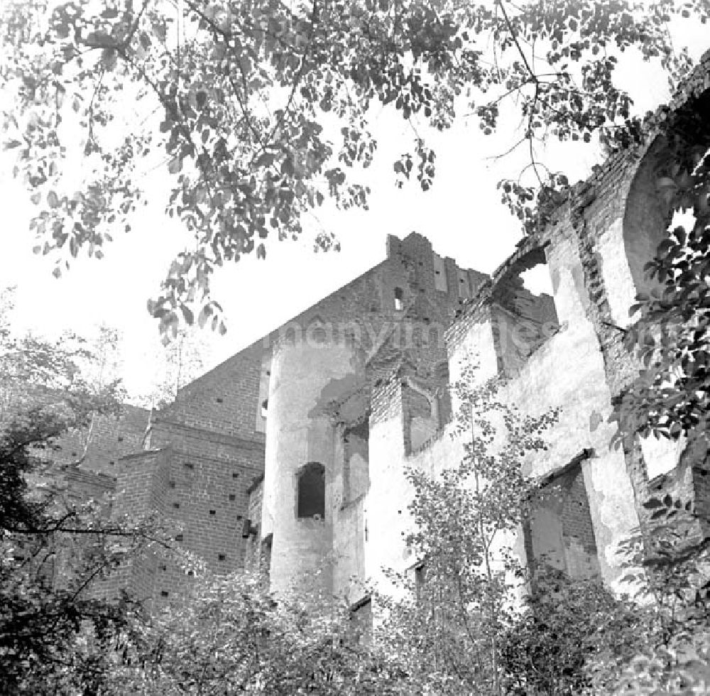 GDR photo archive: Dargun - Blick nach oben, auf die zerfallene Schlossruine vom 1172 gegründeten Zisterzienserkloster. Nach der Säkularisierung Ende 16.Jahrhundert wurde das Kloster durch das Fürstentum Mecklenburg-Güstrow in 20