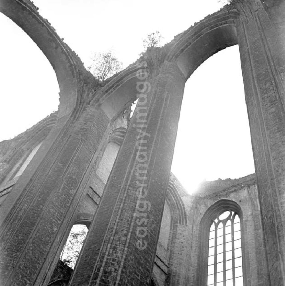 GDR image archive: Dargun - Blick nach oben, in die Ruine der Klosterkirche vom 1172 gegründeten Zisterzienserkloster. Nach der Säkularisierung Ende 16. Jahrhundert wurde das Kloster durch das Fürstentum Mecklenburg-Güstrow in 20