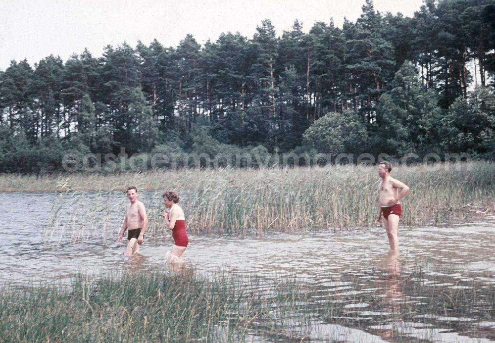 GDR image archive: Klein Trebbow - Having a bath vacationers in the Kluger lake in Klein Trebbow in the federal state Mecklenburg-West Pomerania in the area of the former GDR, German democratic republic