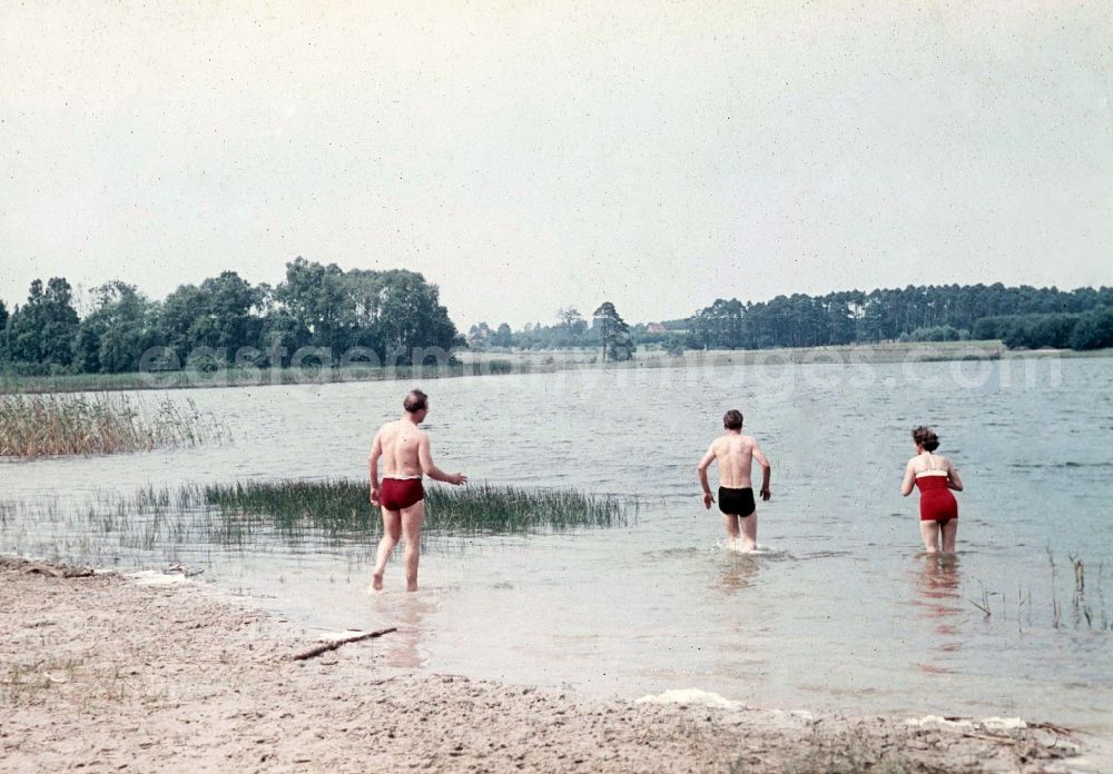 GDR photo archive: Klein Trebbow - Having a bath vacationers in the Kluger lake in Klein Trebbow in the federal state Mecklenburg-West Pomerania in the area of the former GDR, German democratic republic