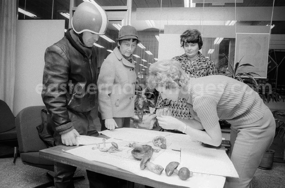 GDR photo archive: Berlin - Mushroom collectors consult free of charge in the mushroom advice centre in the covered market on the Alexander's place whether her accumulated mushrooms are eatable or toxic, in Berlin, the former capital of the GDR, German democratic republic