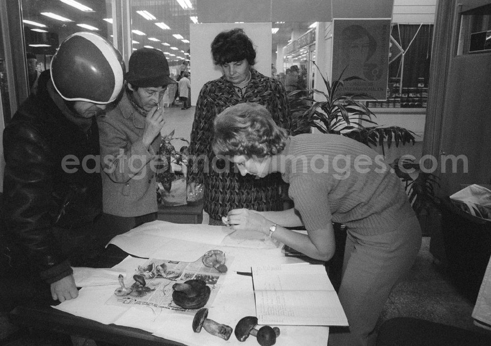 GDR image archive: Berlin - Mushroom collectors consult free of charge in the mushroom advice centre in the covered market on the Alexander's place whether her accumulated mushrooms are eatable or toxic, in Berlin, the former capital of the GDR, German democratic republic