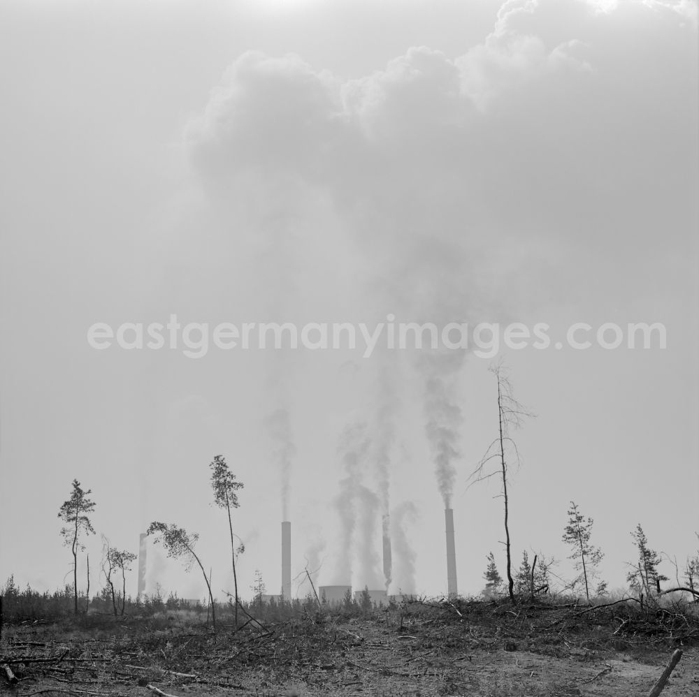 GDR image archive: Boxberg/Oberlausitz - Remains of dying trees from former forest areas in front of the clouds of exhaust gases above the coal-fired power plants from smoking chimneys at the lignite-fired power plant in Boxberg/Oberlausitz, Saxony in the territory of the former GDR, German Democratic Republic