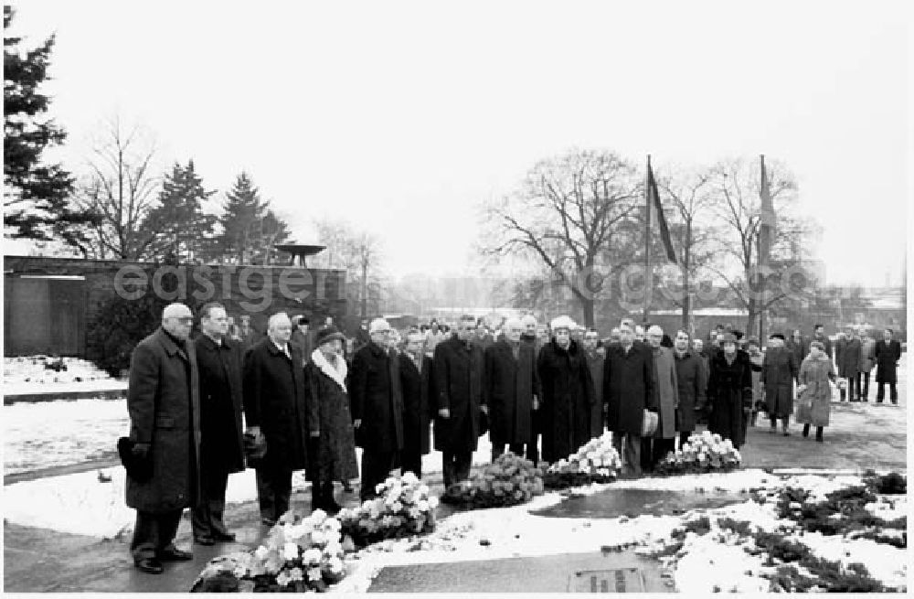 GDR picture archive: Berlin - 03.01.1986 Kranzniederlegung in Berlin-Friedrichsfelde zum Gedenken an den 11