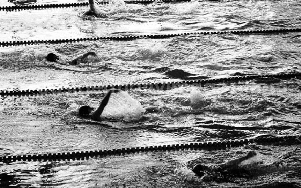 Potsdam (Brandenburg): 22.03.1982 Kreismeisterschaften im Rettungsschwimmen in Potsdam (Brandenburg) Umschlagnr.: 27