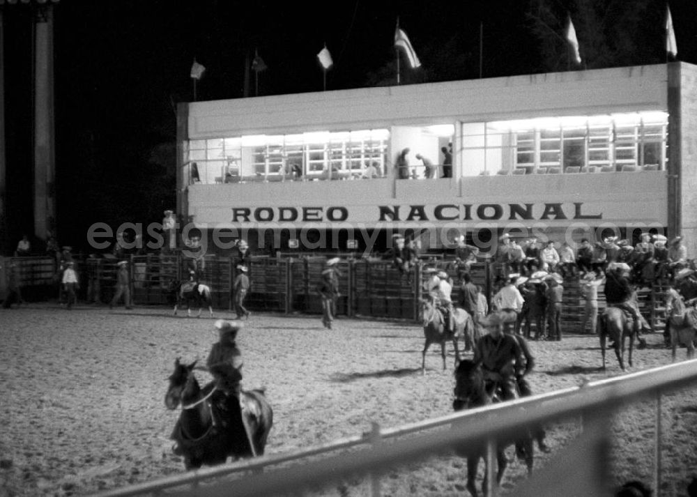 GDR picture archive: Havanna - In der Nationalen Rodeo-Arena in Havanna werden regelmäßig Reitwettbewerbe, Clownsaufführungen und Bullen-Zureiten präsentiert.