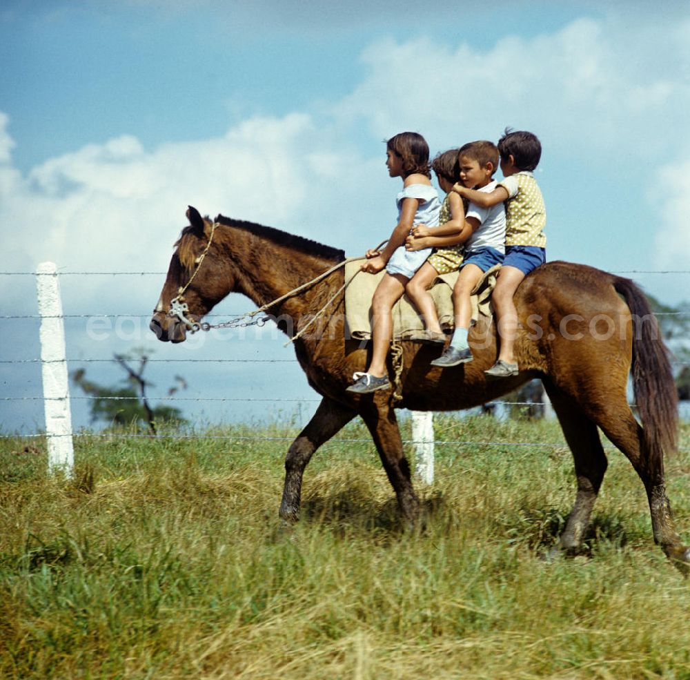 Camagüey: Auf einer kubanischen Rinderzucht-Farm bei Camagüey. Kinder Reiten auf einem Pferd. Cattle breeding / rearing farm near Camagüey - Cuba. Children riding on a horse.