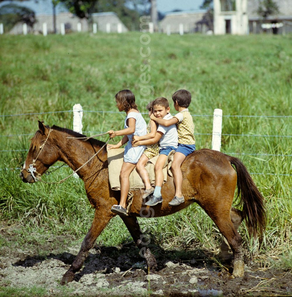 GDR picture archive: Camagüey - Auf einer kubanischen Rinderzucht-Farm bei Camagüey. Kinder Reiten auf einem Pferd. Cattle breeding / rearing farm near Camagüey - Cuba. Children riding on a horse.