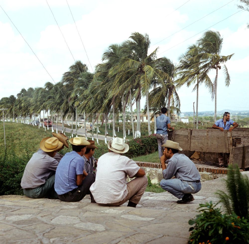 Camagüey: Rinderzucht-Farm bei Camagüey in Kuba. Rinderzüchter sitzen im Gespräch zusammen. Cattle breeding / rearing farm near Camagüey - Cuba. Cattlemen in conversation sitting together.