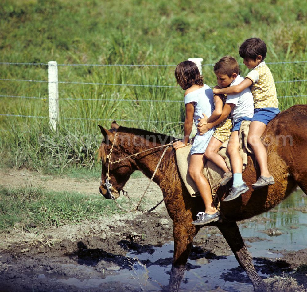 Camagüey: Auf einer kubanischen Rinderzucht-Farm bei Camagüey. Kinder Reiten auf einem Pferd. Cattle breeding / rearing farm near Camagüey - Cuba. Children riding on a horse.