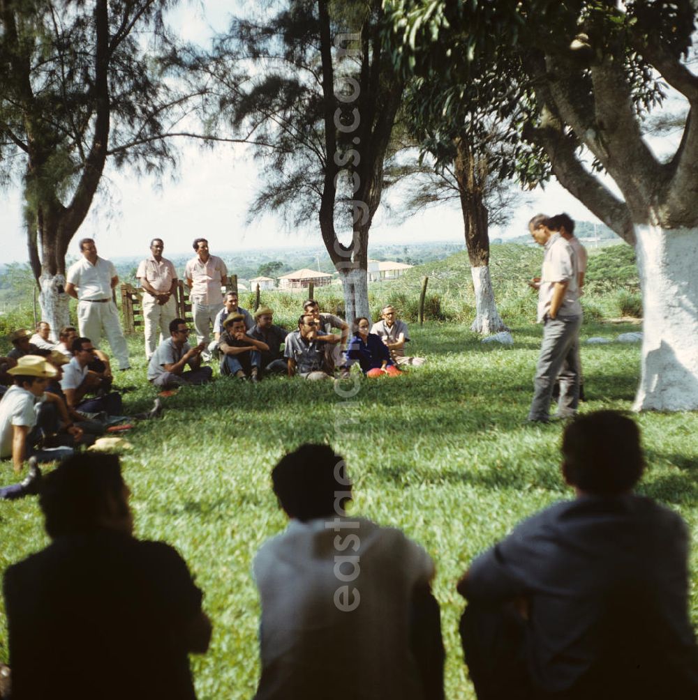 GDR image archive: Camagüey - Rinderzüchter bei Camagüey in Kuba.