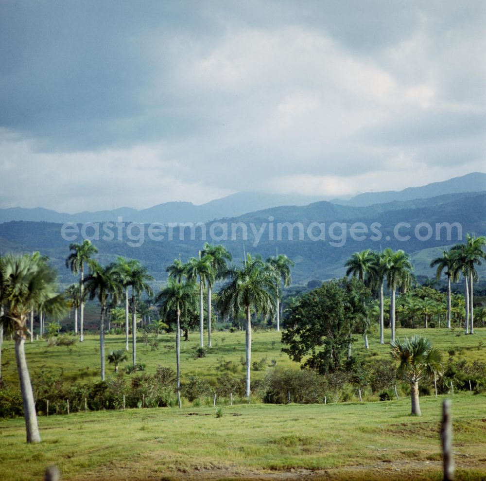 GDR picture archive: Gibara - Blick auf die Sierra Maestra (Hauptgebirge) im Osten von Kuba.