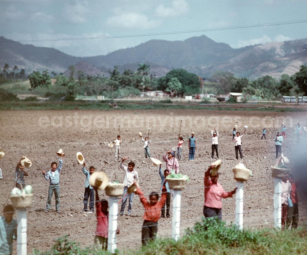 GDR picture archive: Ceiba del Agua - Jubelstrecke der kubanischen Feldarbeiter für den Staats- und Parteivorsitzenden der DDR, Erich Honecker, während seines Staatsbesuches in Kuba. Honecker stattete vom 2