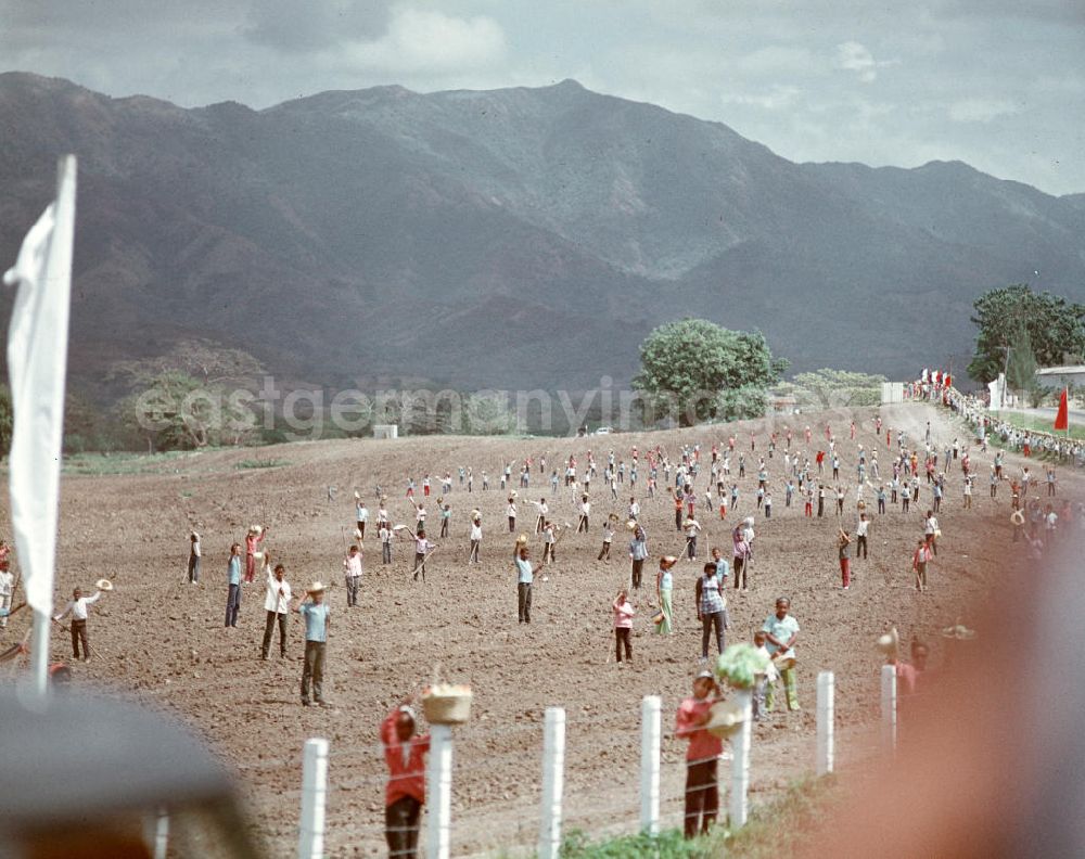 GDR photo archive: Ceiba del Agua - Jubelstrecke der kubanischen Feldarbeiter für den Staats- und Parteivorsitzenden der DDR, Erich Honecker, während seines Staatsbesuches in Kuba. Honecker stattete vom 2