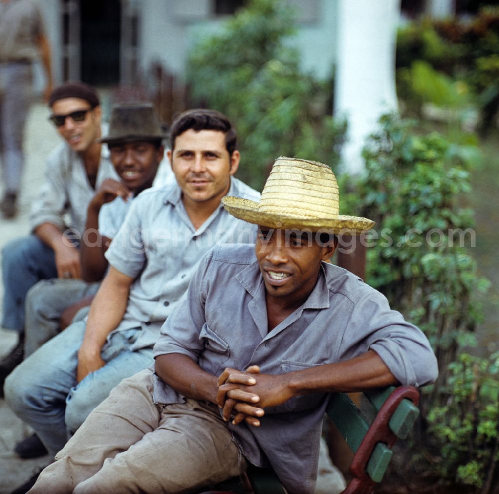 GDR photo archive: Ciego de Ávila - Die Zuckerrohrernte - die sogenannte Zafra - erfolgt in Kuba noch meist auf traditionelle Weise, hier Arbeiter einer Zuckerrohrplantage. Sugar cane harvest, the so-called Zafra, in Cuba.
