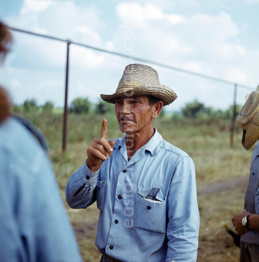 GDR picture archive: Ciego de Ávila - Die Zuckerrohrernte - die sogenannte Zafra - erfolgt in Kuba noch meist auf traditionelle Weise, hier Arbeiter einer Zuckerrohrplantage. Sugar cane harvest, the so-called Zafra, in Cuba.