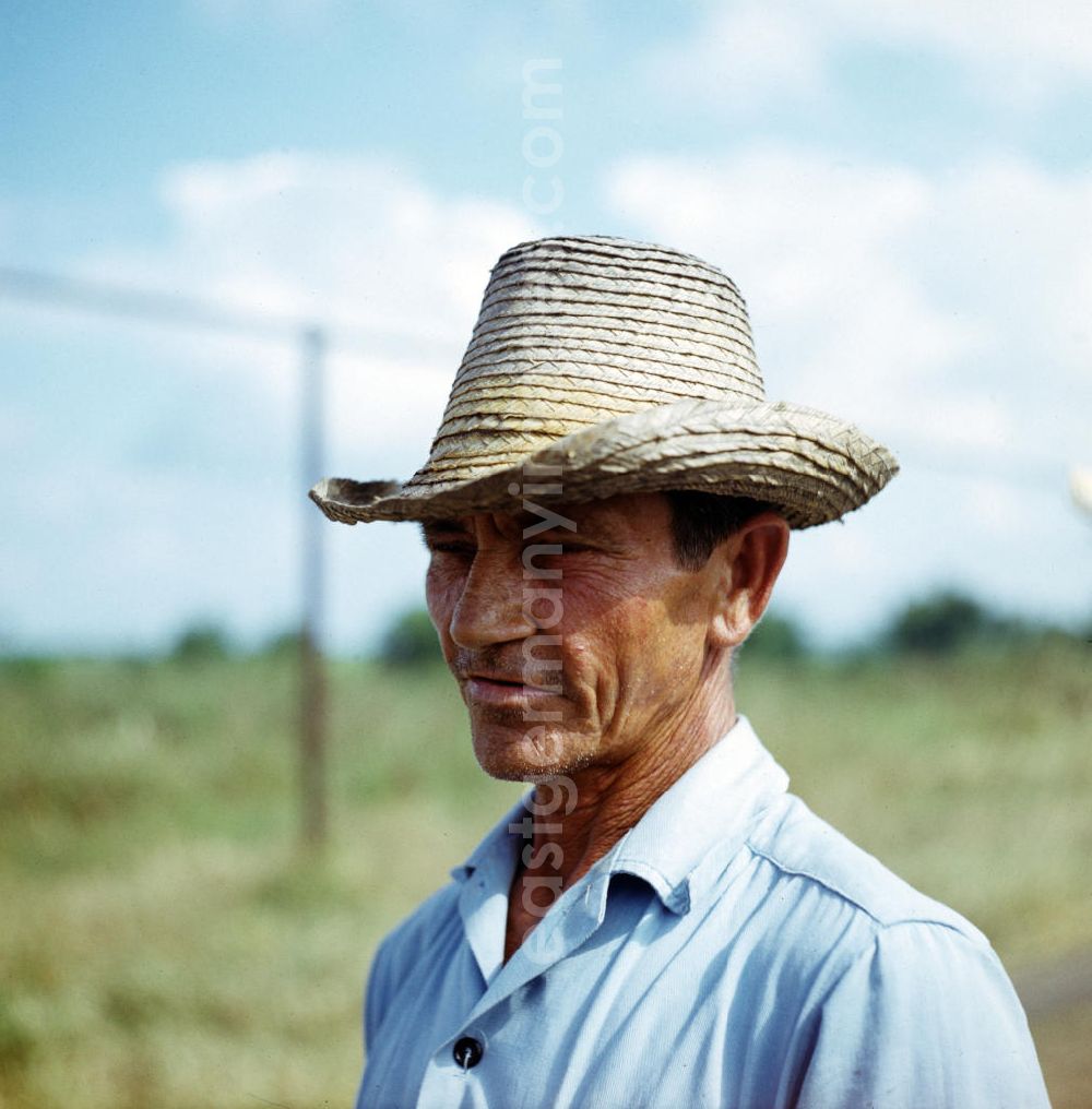 GDR photo archive: Ciego de Ávila - Die Zuckerrohrernte - die sogenannte Zafra - erfolgt in Kuba noch meist auf traditionelle Weise, hier ein Arbeiter einer Zuckerrohrplantage. Sugar cane harvest, the so-called Zafra, in Cuba.